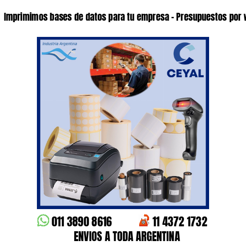 Imprimimos bases de datos para tu empresa – Presupuestos por whatsapp!
