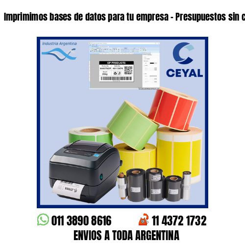 Imprimimos bases de datos para tu empresa – Presupuestos sin cargo!