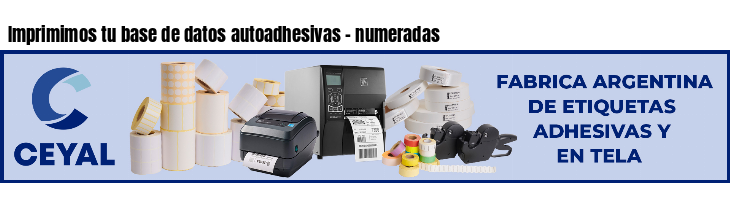 Imprimimos tu base de datos autoadhesivas - numeradas