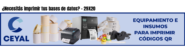 ¿Necesitás imprimir tus bases de datos? - 29X20