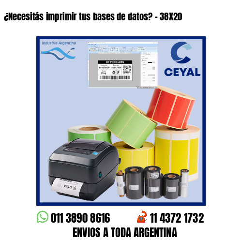 ¿Necesitás imprimir tus bases de datos? – 38X20