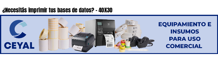 ¿Necesitás imprimir tus bases de datos? - 40X30