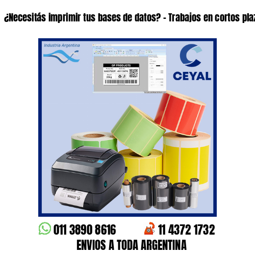 ¿Necesitás imprimir tus bases de datos? – Trabajos en cortos plazos!