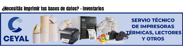 ¿Necesitás imprimir tus bases de datos? - inventarios