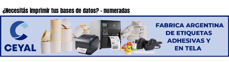 ¿Necesitás imprimir tus bases de datos? - numeradas