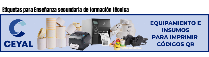 Etiquetas para Enseñanza secundaria de formación técnica
