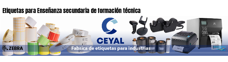 Etiquetas para Enseñanza secundaria de formación técnica