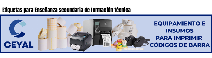Etiquetas para Enseñanza secundaria de formación técnica