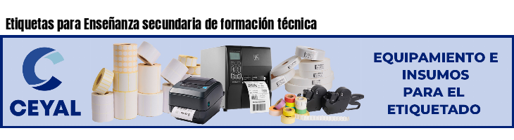 Etiquetas para Enseñanza secundaria de formación técnica