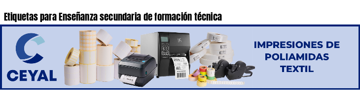 Etiquetas para Enseñanza secundaria de formación técnica