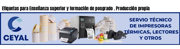 Etiquetas para Enseñanza superior y formación de posgrado . Producción propia