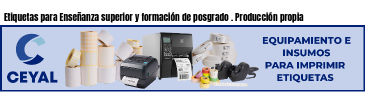 Etiquetas para Enseñanza superior y formación de posgrado . Producción propia