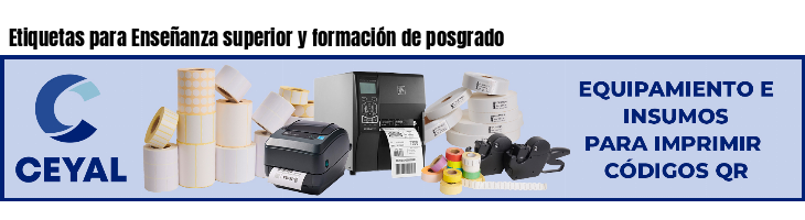 Etiquetas para Enseñanza superior y formación de posgrado