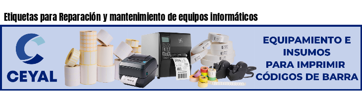Etiquetas para Reparación y mantenimiento de equipos informáticos