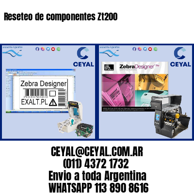 Reseteo de componentes Zt200