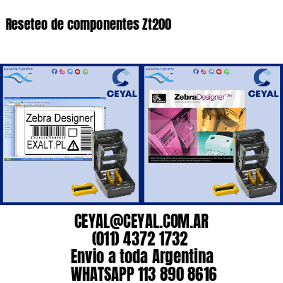 Reseteo de componentes Zt200