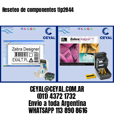 Reseteo de componentes tlp2844