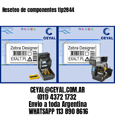 Reseteo de componentes tlp2844