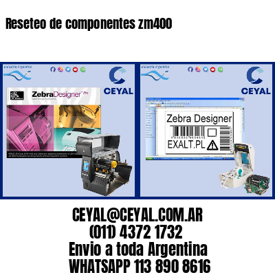 Reseteo de componentes zm400