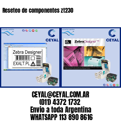 Reseteo de componentes zt230